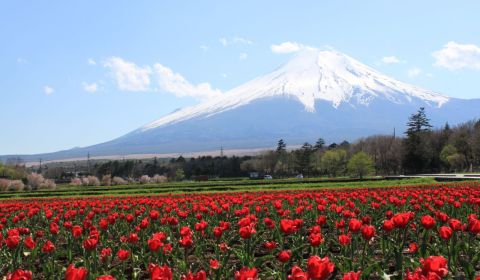 photo of Fujisan, Sacred Place and Source of Artistic Inspiration