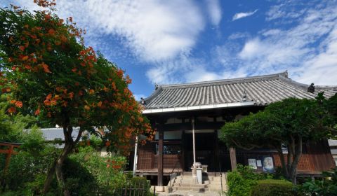 photo of Uji