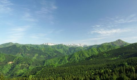photo of Shirakami-sanchi Mountain Range
