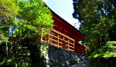 photo of Otsu
