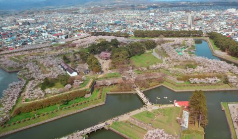 photo of Goryokaku Fort