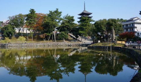 photo of Kofukuji Temple