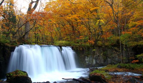 photo of Oirase Mountain Stream