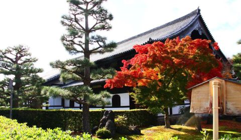 photo of Tofukuji Temple