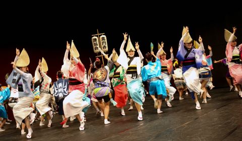 photo of Awa Odori