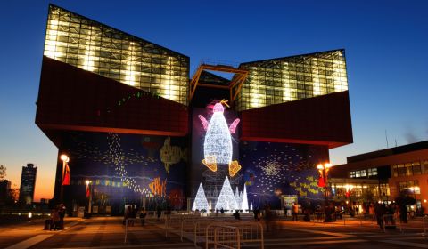 photo of Osaka Aquarium (Kaiyukan)