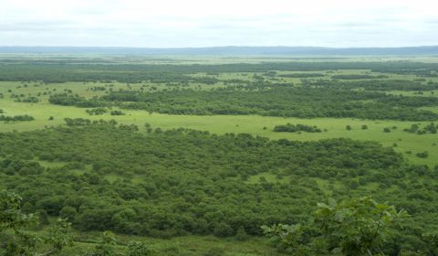 photo of Kushiro Marshlands