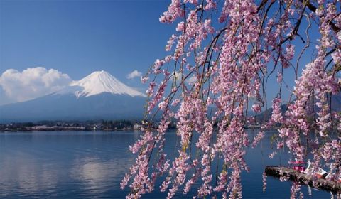 photo of Mt Fuji