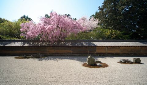 photo of Ryoanji Temple