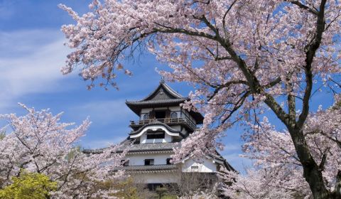 photo of Inuyama Castle