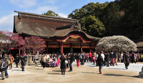 photo of Dazaifu Tenmangu Shrine
