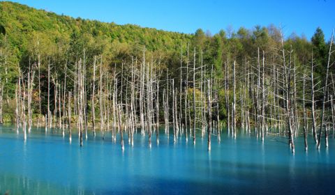 photo of Blue Pond