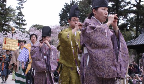 photo of Ho-Taiko Hanami Gyoretsu