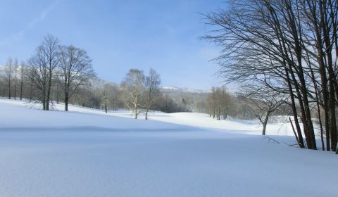 photo of Shiga Kogen