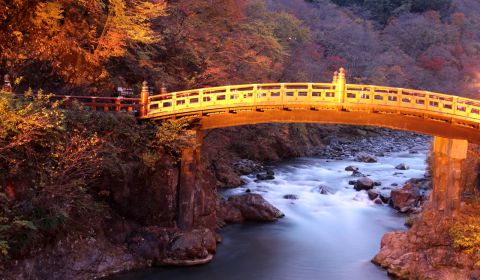 photo of Nikko