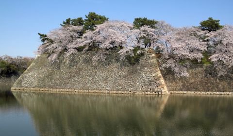 photo of Nagoya Castle