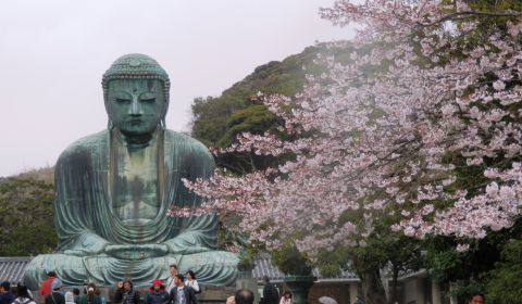 photo of Kotokuin Temple - Great Buddha