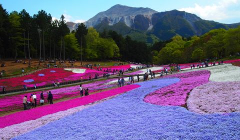 photo of Chichibu