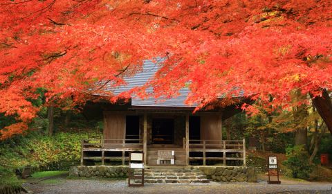 photo of Chusonji Temple