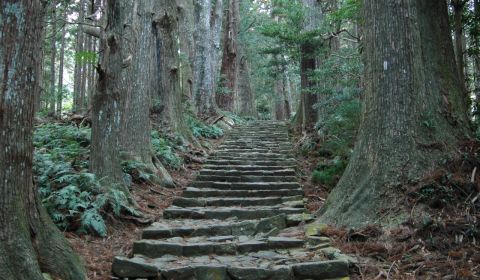 photo of Kumano