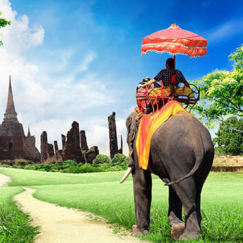 Special Interest Tours